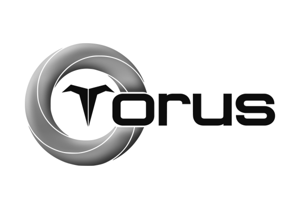 Torus