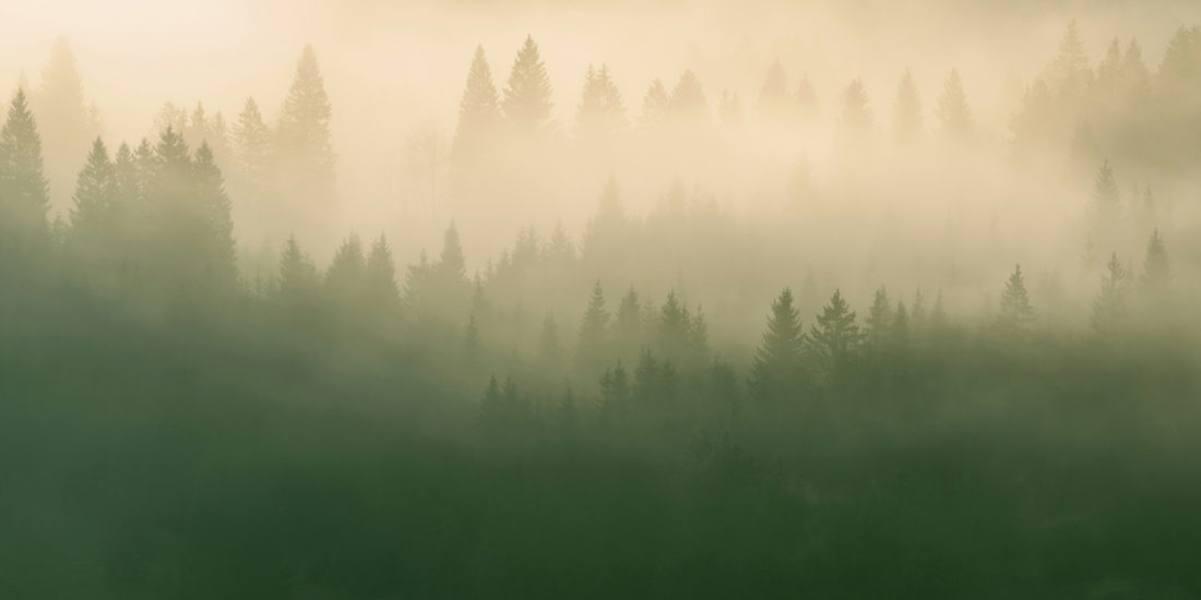 3pine header